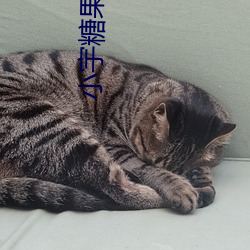 凯时|AG(AsiaGaming)优质运营商
