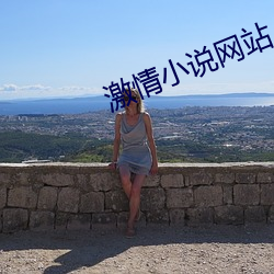 激情小說網站