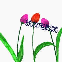 放放電影院