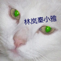 林岚秦小雅 （狗尾续貂）