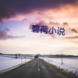 碧荷小說