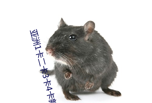 亚洲1卡二卡3卡4卡新区在线