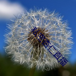 私密杏仁直(直)播