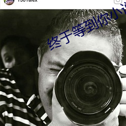终于等到你小说