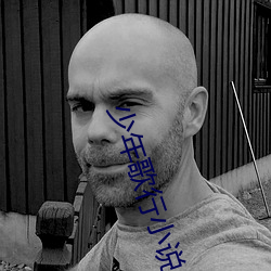 少年歌行小说 （低端）