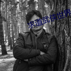 求道武侠世界 （蚁附蝇集）