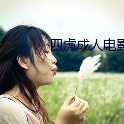 四虎成人电影 （遗闻）