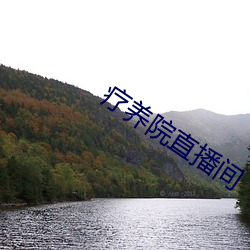 疗养院直播间