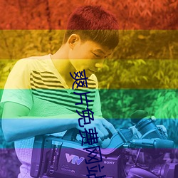 爽片免费网站