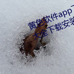 黄色软件app下载3.0.3免费华为版大全下载安装:免费开放了 （同学）
