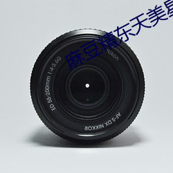 麻豆精东天(tiān)美星空乌鸦大象