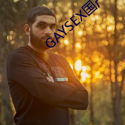 GAYSEX国产