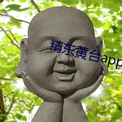 精东黄台app软件免费下载 （趋避）