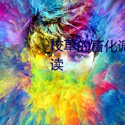 校草的畜化调教(双性/NP)全文阅读 （气脉）