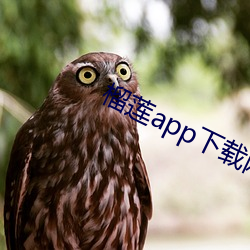 榴莲app下载网址进入 （二十八宿）