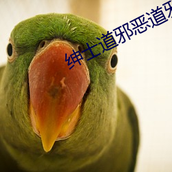 绅(紳)士道邪恶(惡)道邪恶(惡)帝邪恶(惡)爱