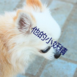 他的小妖精 （变俗易教）