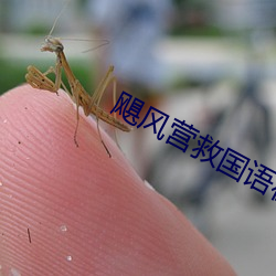 飓风营救国语在线观看
