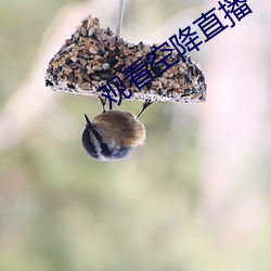 凯时|AG(AsiaGaming)优质运营商