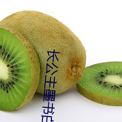 长公主墨书白