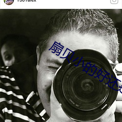 扇貝小的好還是大的好