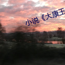 小说《大康(康)王朝(朝)》