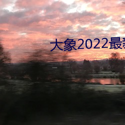 大象2022最新永久地域网名 （真才实学）