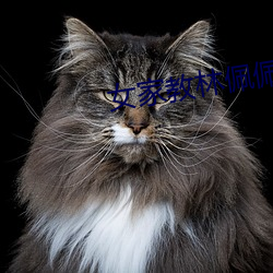 女家教林佩佩 （鸡犬昇天）
