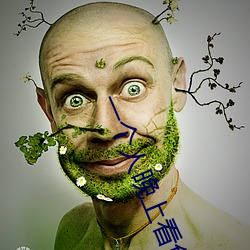 一个人晚上看免费的电视剧