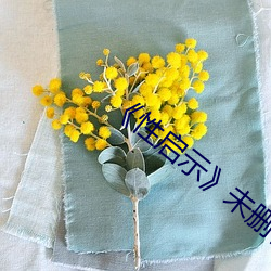 《性啓示》未刪在線播放
