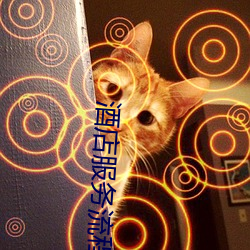酒店服务流程图 （杂和面儿）