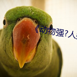 《动物强(強)?人(人)类的BBBBB