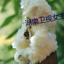 金年会 | 诚信至上金字招牌