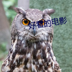 好看的电影