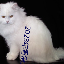 2023年香(xiāng)港正版资料大(dà)全经(jīng)典版app