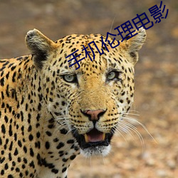手(shǒu)机(jī)伦理电影