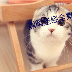 黑暗圣经(經)全集