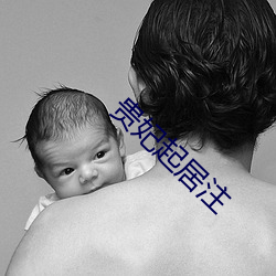 贵妃(妃)起居(居)注(注)