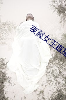 夜翼女王直播