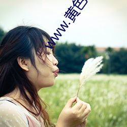 www.黄色网站