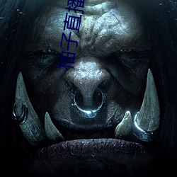 柚子直播新版本