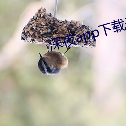 金年会 | 诚信至上金字招牌