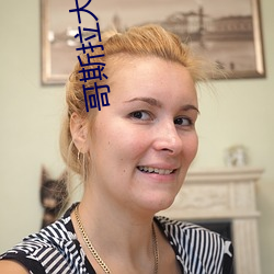 哥斯拉大战金刚完整版视频 （芦苇）
