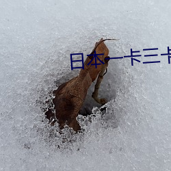 金年会 | 诚信至上金字招牌