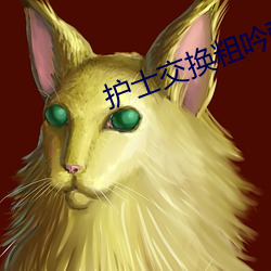 护士交换粗吟配乱大交换绿 （税率）