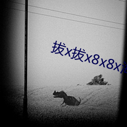 拔x拔(拔)x8x8x海外华人(人)