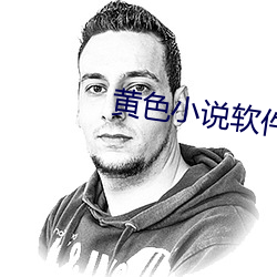 黄色小说软件 （鸡犬无惊）