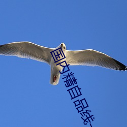 国内精自品线一区521 （前人失脚，后人把滑）