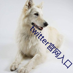 twitter官网入口 （传看）