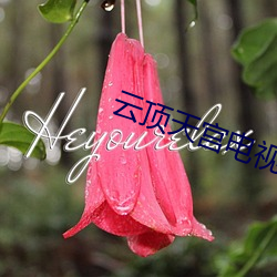 云(雲)顶天宫电(電)视(視)剧在线观看免